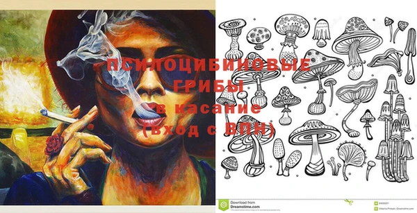 PSILOCYBIN Бронницы