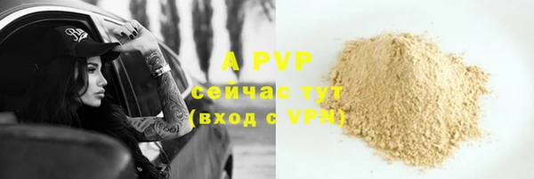 PSILOCYBIN Бронницы