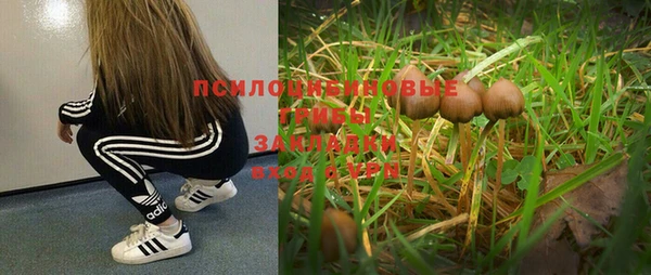 прущий лед Бугульма