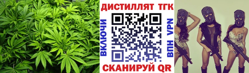 купить  сайты  Касли  Дистиллят ТГК THC oil 